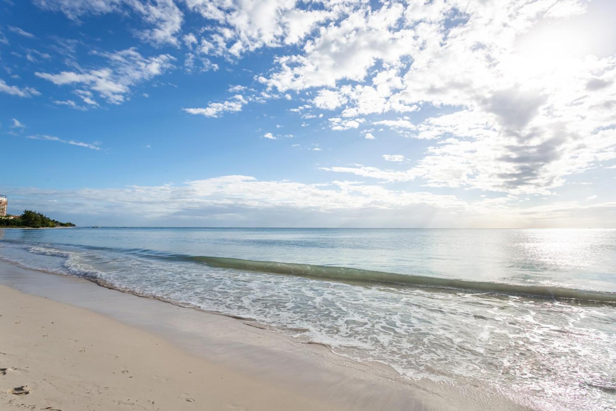 Gorgeous Ocean Front Casa Shell Apartment *
